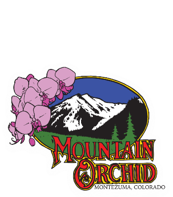 The Mountain Orchid